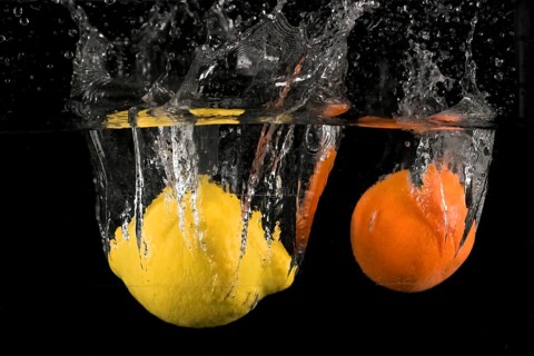 Lemon (Citrus × limon), mandarin (Citrus reticulata), fall into the water, Germany