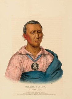 Wat-Che-Mon-Ne, An Ioway Chief (1838), Native American, Historical Native American tribes from