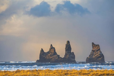 Reynisdrangar needles, rotten grass, waves, sea, clouds, winter, Vik, Iceland, Scandinavia