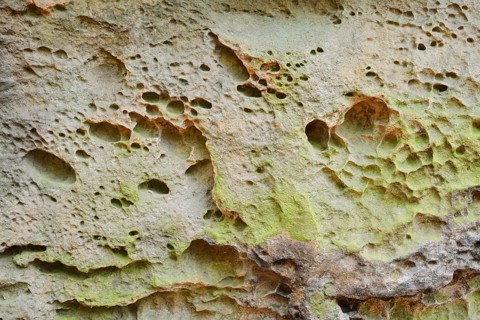 Honeycomb weathering in sandstone, Saxon Switzerland, Elbe Sandstone Mountains, Saxony, Germany