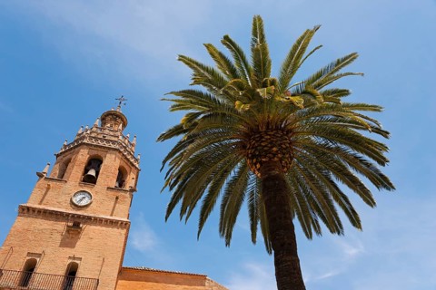 Close-up view of a palm tree and a historic church tower under a clear blue sky, church, once a