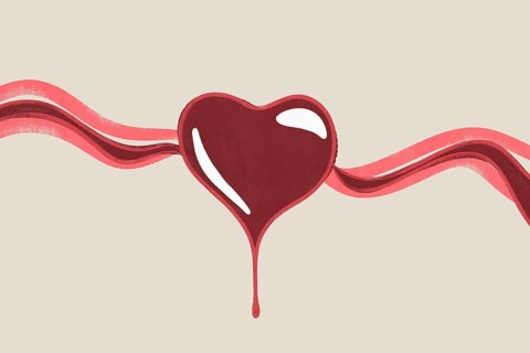 This illustration depicts a stylized heart with flowing arteries, symbolizing cardiovascular health