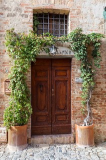 Wooden door as the entrance to a guesthouse, entwined with Wild Vine in the historic centre of