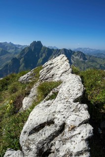 Mountain panorama from Laufbacher-Eckweg to Höfats 2259m, Allgäu Alps, Allgäu, Bavaria, Germany