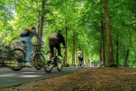 Promenade cycle path, tree-lined, car-free, approximately 4.5 km long ring road around the city