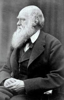 Charles Darwin, photographed by Oscar Gustave Rejlander (1813 - 1875) . Charles Robert Darwin, 1809