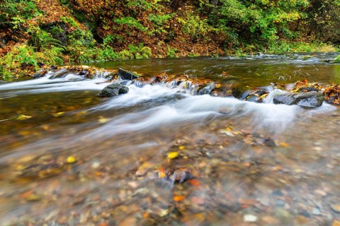Rote Weisseritz roars wild in Rabenauer Grund in autumn, Freital, Saxony, Germany