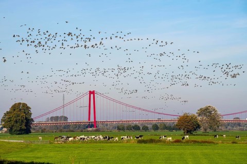 The Rhine bridge Emmerich, federal road B220, longest suspension bridge in Germany, is currently