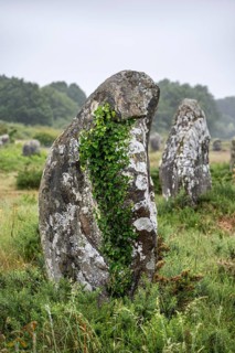 Prehistoric menhirs from the Neolithic period, hinkel stones, alignements of Carnac, archaeological