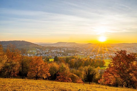 View over the city of Neumarkt from Wolfstein castle ruins at sunset in autumn, Neumarkt in der