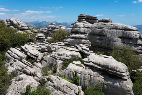 Dry rock formations of different heights under a clear blue sky with green vegetation, karst