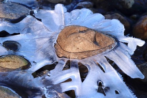 Ice on the banks of the Elbe, Winter, Germany