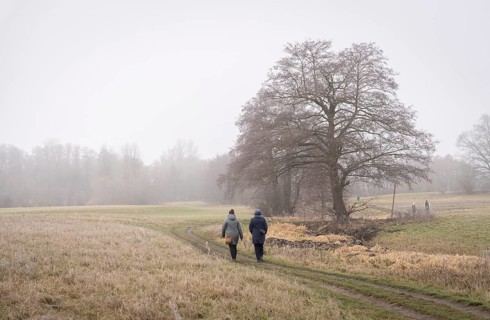 Landscape photography, fog in January, Berlin Lübars, Germany
