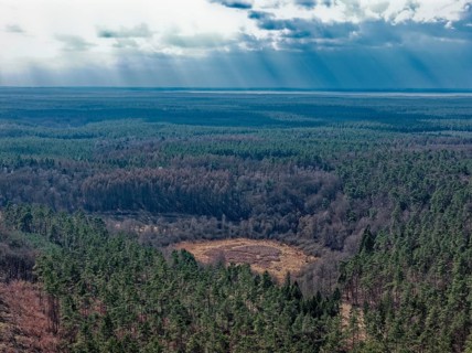 April weather over the forest landscape in Müritz National Park. aerial view. Ankershagen,