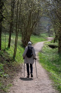 Elderly woman hiking with sticks through the Trubach Valley, Egloffstein, Upper Franconia, Bavaria,