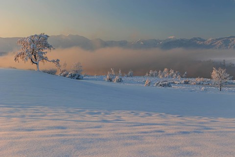 Lake in front of mountains in the morning light, fog, snow, winter, Riegsee, view of Zugspitze,