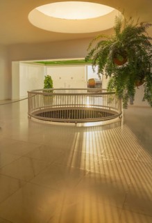 Serene indoor space with modern architecture featuring sunlit floors, a circular railing, and lush
