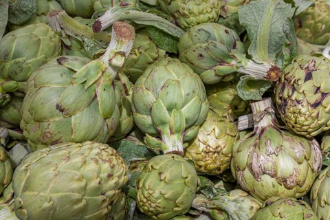 Artichokes (Cynara cardunculus, syn. Cynara scolymus), Majorca, Balearic Islands, Spain