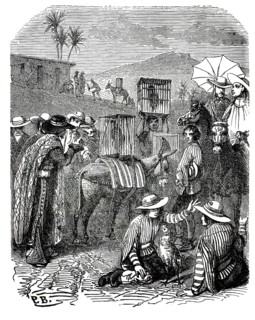 A celebration in Santa Anna, the arrival of the roosters, 1860, Mexico. A donkey carries a large