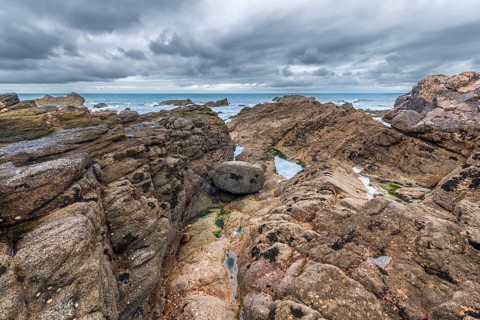 Rocks covered with shells on the Atlantic coast. Sables d'Olonne, Vendee France