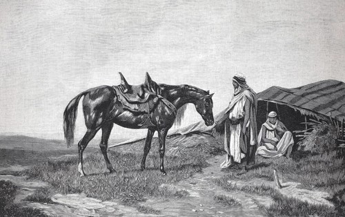 In front of a Bedouin tent, Bedouin with his Arabian horse, 1898, Morocco, Reproduction of an