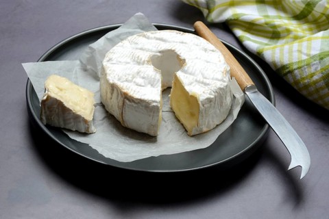 French soft cheese on plate with cheese knife, France