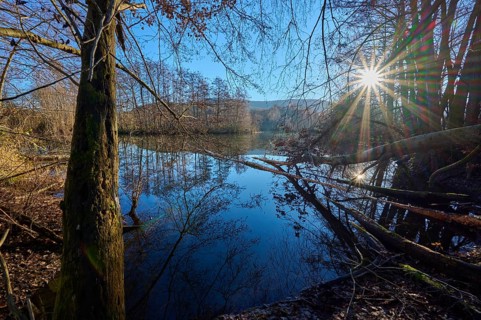 Lake at sunrise, Freudenberg am Main, Untermain, Spessart, Odenwald, Franconia, Baden-Württemberg,