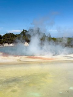 Champagne Pool at the Waiotapu Thermal Track in the colourful geothermal area of Waiotapu Thermal