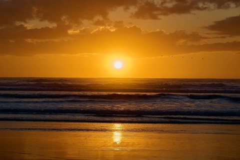 Intense sunrise over the ocean with deep colours and soft waves, Muriwai Beach, Auckland, North