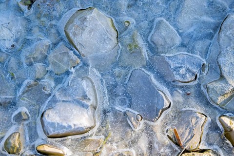 Close-up of stones in a frozen water, Bavaria, Germany