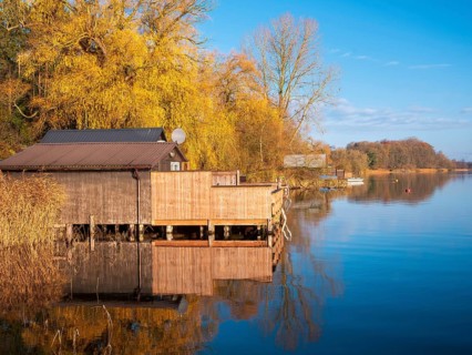 Shore with boathouses on Schaalsee in morning light, reeds and trees in autumn colors, Schaalsee