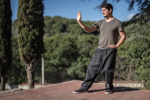 The third posture of the Bai Hu program, the static stance Santi Shi, focusing on pushing strength,
