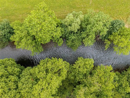 Neckar landscape near Horb. Drone photo top-down on the Neckar and trees. Horb am Neckar,