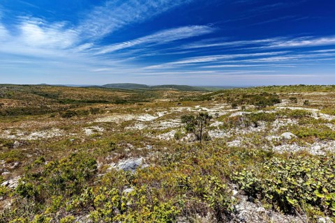 Endless, barren landscape with wide skies and scattered clouds, the thornshrub savanna in the
