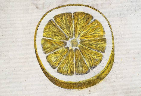 Cut, halved lemon, citrus fruit, hand-colored copper engraving from Giovanni Baptista Ferrari