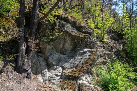 Germany, Greiz, Schieferfelsen, Thuringia, Thuringia, Elstertal, rock biotope, landscape, dry