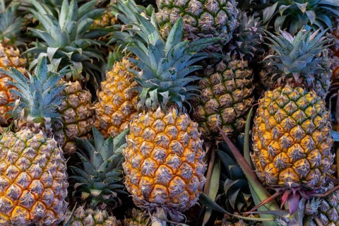 Pineapple sales rack, Pattaya, Thailand