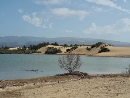 Lagoon in front of dunes with surrounding vegetation, quiet atmosphere under blue sky, La Charca de
