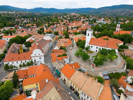 View of a historic town with church and city wall, surrounded by green nature and red roofs, aerial
