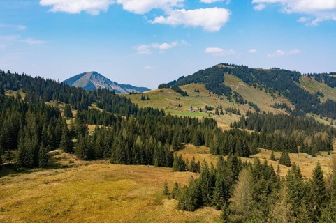 Illingeralm with view of the Pillsteinhöhe and Zwölferhorn, Osterhorn group, Salzkammergut,