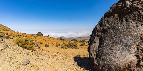 Tenerife National Park, World Heritage Site, Tenerife, Canary Islands, Spain