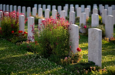 Gravestones, war graves, soldiers' graves, flowers, roses, British and German military cemetery,