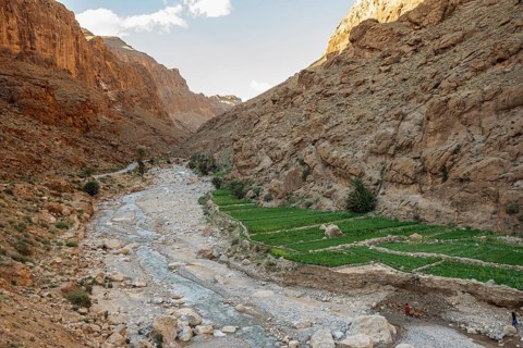 Todra Gorge, Tinghir, Drâa-Tafilalet Region, Atlas Mountains, Morocco