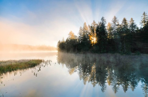 Rays of sunshine make their way through forest and fog at the mirror-smooth moorland lake Étang de