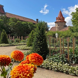 Dahlia garden with the new roof of the Hexenturm, Altstadt, Barockviertel, Fulda, East Hesse,