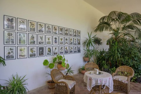 Seating group in the orangery in the castle, Milotice u Kyjova, South Moravian Region, Czech