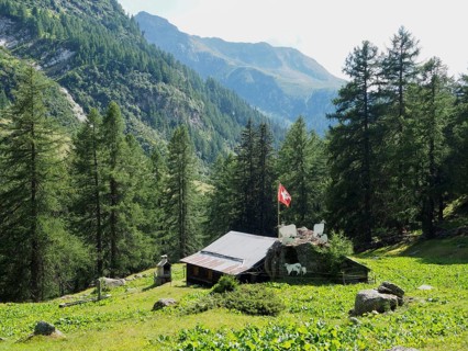 Small mountain hut with Swiss flag in alpine surroundings, Binntal Landscape Park, Goms, Canton of