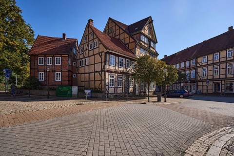 Historic half-timbered houses, city trees, street of concrete paving stones, sidelight, backlight,