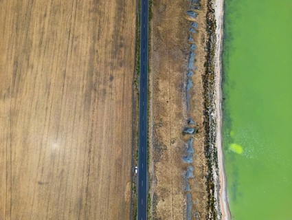 Aerial shot capturing a fascinating contrast, a straight road separates a golden field from a