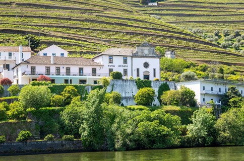 Quinta das Carvalhas, Royal Oporto Real Companhia Velha, near Pinhão, River Douro valley, Alto